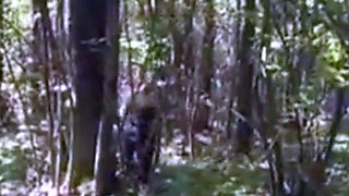 Barebacking Outdoor with Amateur Bear