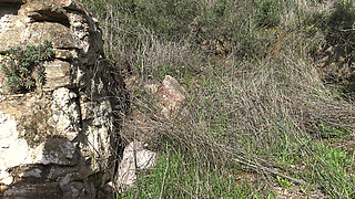 Cheating wife lets stranger fuck her fat ass outdoors