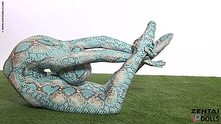 Ballerina in a Catsuit