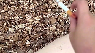 Humiliation in the Forest...