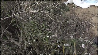 French Nudist Woman Peeing And Masturbating On A Public Beach