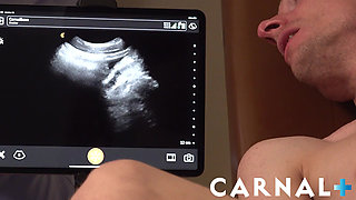 FunSizeBoys - King size Dr. Wolf Breeds little Joshua Oaks on His Couch