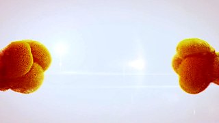 Antonia Sainz-SOLO PISSY(4K) - Big tits PAWG babe solo masturbation