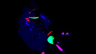 Hot Big Black Latina booty Black and Ebony