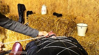 Dominatrix Annabelle [TheEquestrianLady] Myslavekicked