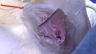 3 Licking Pussy Spread Far From Very Close