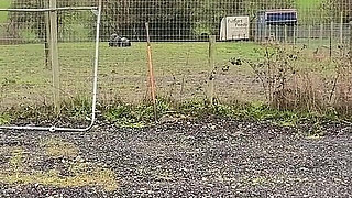 Hotwife Strap N Fuck Pick up