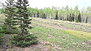 Outdoor Bigdick Blowjob