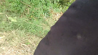 While Roaming in the Field, He Started Hitting the Hilt