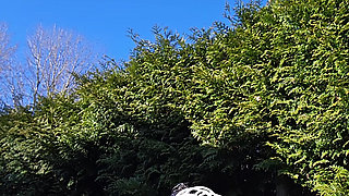 Skinny boy Huge cumshot. Big balls, big dick, Huge cumshot on body