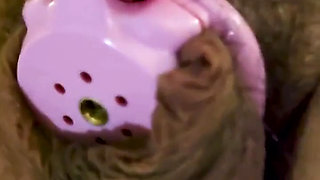 Sissy Slut Punished and 2 Asian Dommes