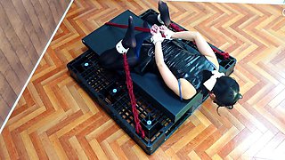 Female Cat Caught In A Trap