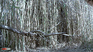 Lyne Mary: Pretty Little French Metis Fucked in the Reeds