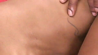 Kelli Provocateur Vs Will Tile