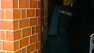 Widows in a Sex Frenzy 1991