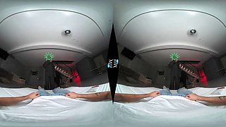 The Purge: Erection Year