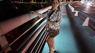 MILF Flashes her Big Tits and Pussy on the Street Bridge