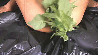 Nettle Spread Discipline