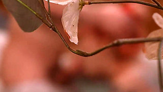 Hot Neighbors in Hot Tub