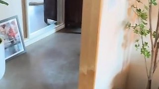 TheIvoryFox Loves Her Step Son And Creampied Onlyfans Video