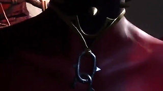 Wild Life Hot Gangbang Orgy