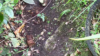 I Never Thought My Stepcousin Would Do This